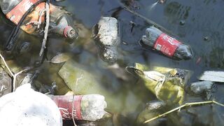 Bottles and bags in the dirty water of a river - adalinetv