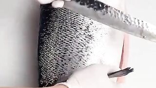 Tutorial cut fish