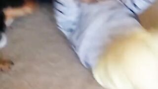 Cute Babies Funny Video ????????
