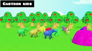 Paint animals