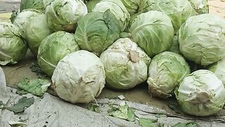 সবজী বাজার পাচটাকা পিচ