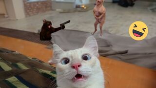 Funniest Cats And Dogs Videos ???? - Best Funny Animal Videos 2024 ????#13
