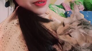 playing with cats