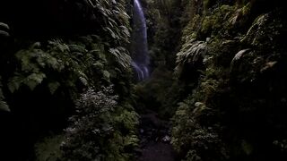 Aerial drone flight through jungle with a waterfall - adalinetv