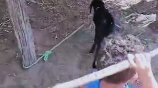 #funny #cat #dog #animals (30)