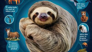 Incredible Insights: 5 Unbelievable Truths about Wild Animals