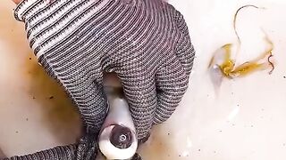 Tutorial cut squid