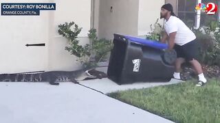 Florida Man Catches And Removes Gator With A Trashcan