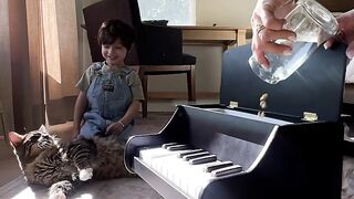 taught my cat to play the piano with classical conditioning [OC]