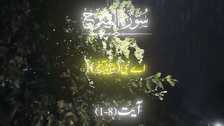 Surat Al Nashra with translation status short video
