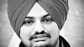 SADU LION