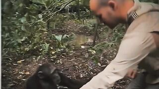 Funny status video