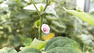 The amazing nature الطبيعة الخلابة