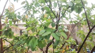 Beautiful weather ☁️