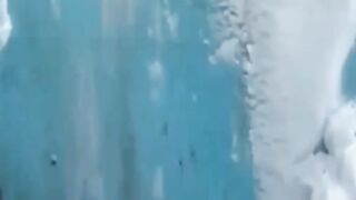 Amazing shot