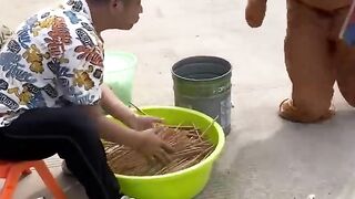 Video lucu