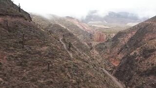 Hamiltons_Pharmacopeia_Saison_1