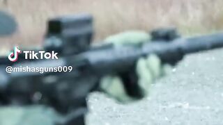AR shorter gun mini