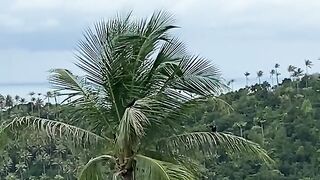 NATURE 179