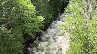 NATURE 181
