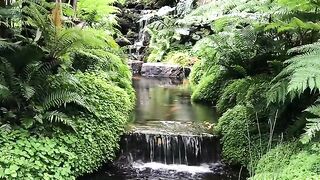 NATURE 182