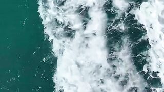 Reel video song