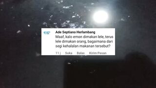 Jika EMON dimakan lele, lalu ikan lele dimakan orang, bagaimana segi KEHALALAN makanan tersebut❓