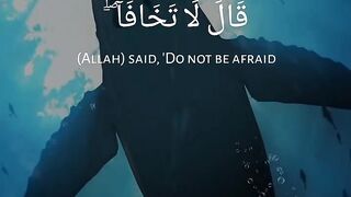 Quran # #quran #trending #viral #shahzor #shorts #fespot # iNFO