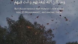 Quran # #quran #trending #viral #shahzor #shorts #fespot # iNFO