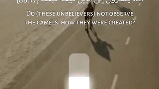 Quran # #quran #trending #viral #shahzor #shorts #fespot # iNFO