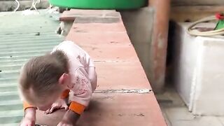 Funny video