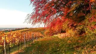 Autumn is coming