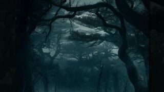 A Floresta Aokigahara