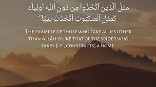 Quran # #quran #trending #viral #shahzor #shorts #fespot # iNFO