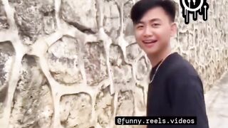 Meme compilation videos