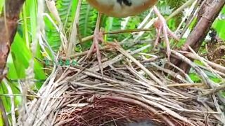 Bird and her kids