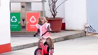 Funny monkey