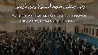 Quran # #quran #trending #viral #shahzor #shorts #fespot # iNFO