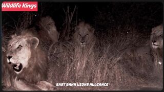 East Bank  Lions Alliance.