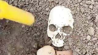 A treasure guarded by poisonous snakes!