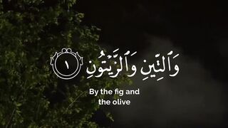 Tilawat e Quran surah teen with translation