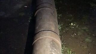 Обследую околицы земснаряда и болота