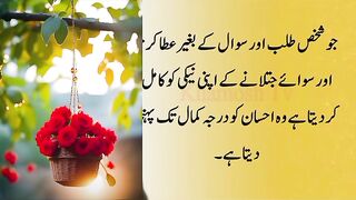 Urdu beautiful quotes