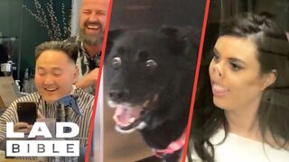 The Funniest Videos On The Internet