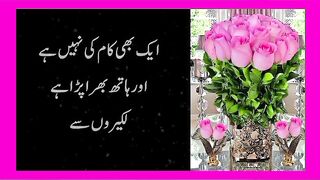 Urdu beautiful quotes