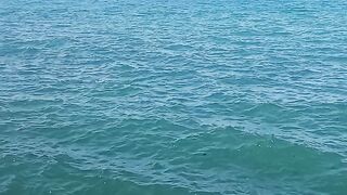 البحر والهدوء