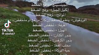 فوائد الأعشاب الطبيعية