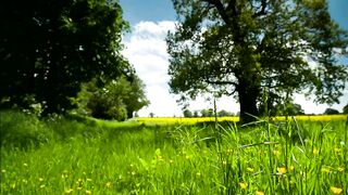 Nature butyfull to live with