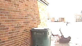 Funny Fails???????? and Hilarious Bloopers Galore!