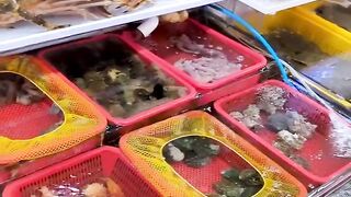 Fresh seafood in Busan Korea